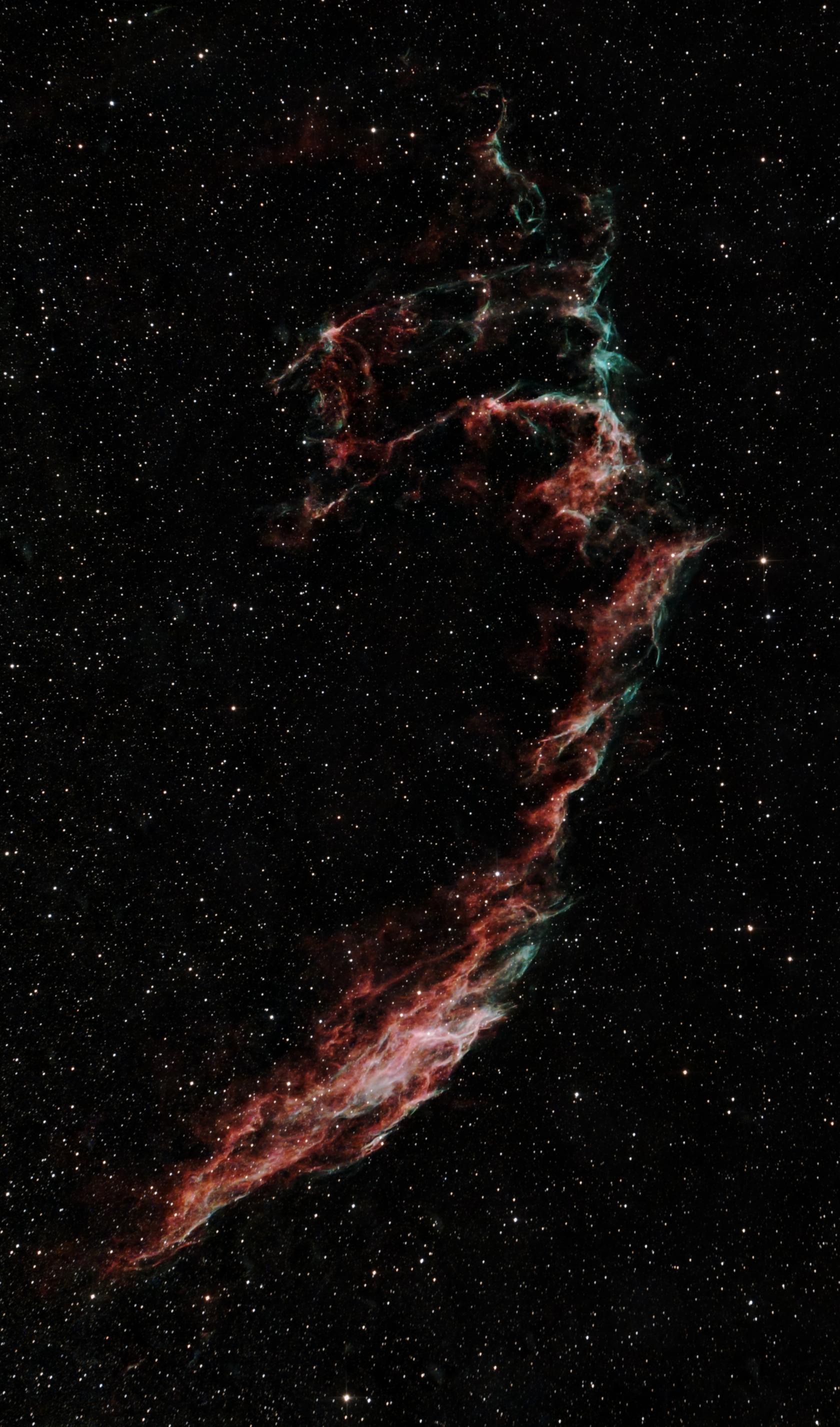 combined1-crop.jpg